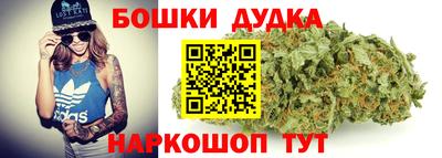 PSILOCYBIN Нальчик