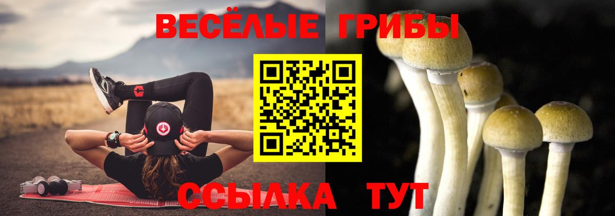 Бузулук  Псилоцибиновые грибы MAGIC MUSHROOMS  Вход с VPN 
